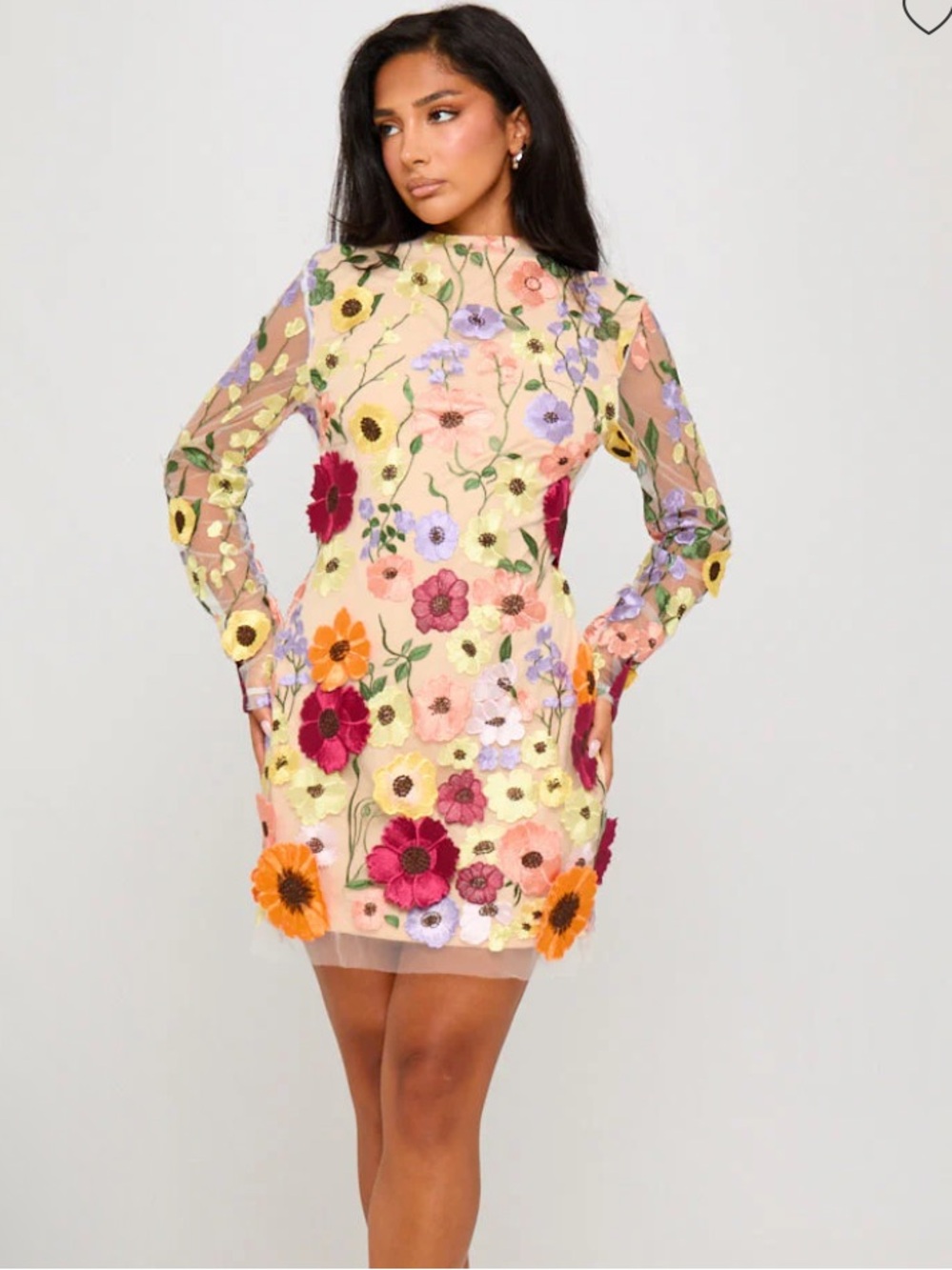Embroidered Floral Sheer Dress with Multicolor Blooms inspired by Taylor Swift